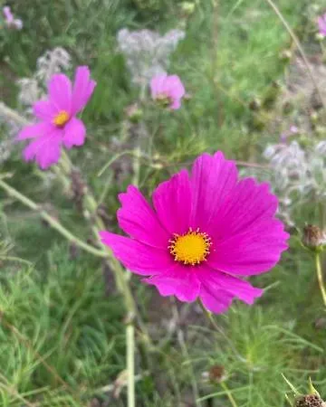 Les Jardins De L'ecume *